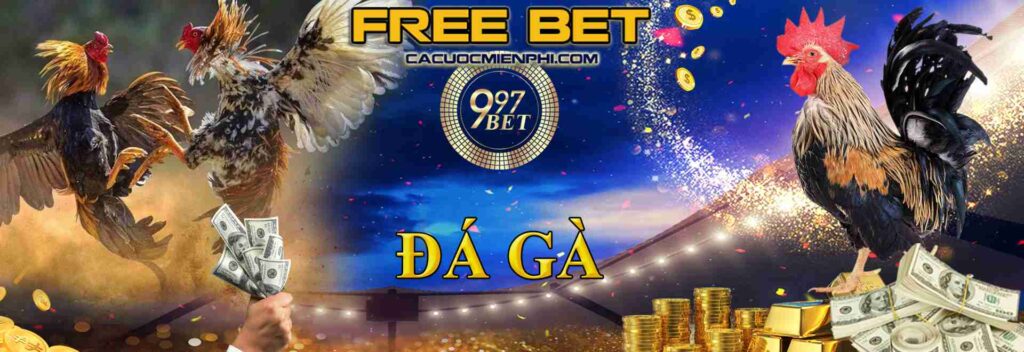 Dk88 cung cấp hàng trăm ưu đãi và chương trình khuyến mãi hấp dẫn - Dk88