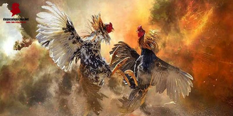 Tại sao tôi cần đăng nhập vào K89bet để chơi game? - K89bet
