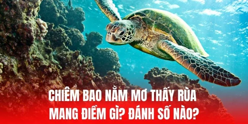 Hướng dẫn giao dịch Vn68 - Vn68