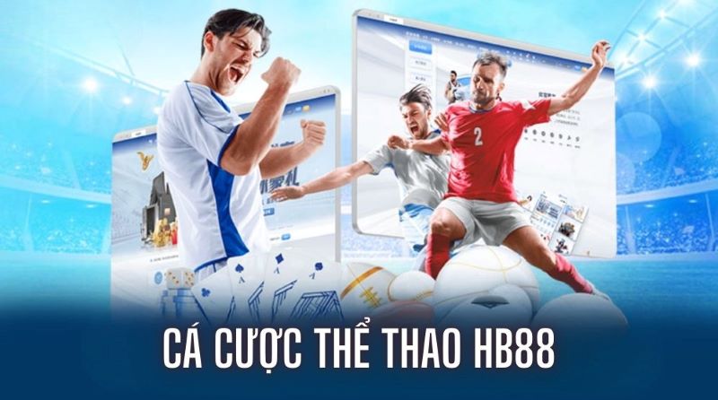 Mibet cung cấp dịch vụ cá cược thể thao chất lượng cao - Mibet