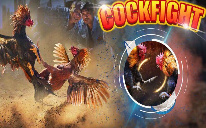 Các chương trình khuyến mãi mới nhất trên trang web Vz99 Games - Vz99