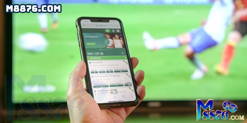 N666 Live là một nền tảng cá cược phổ biến trên toàn cầu - N666