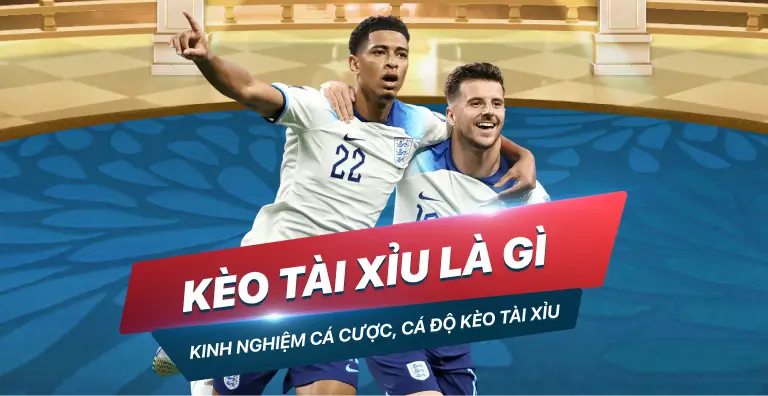 Tải xuống từ nền tảng K8vn và tận hưởng niềm vui trên thiết bị di động của bạn - K8vn