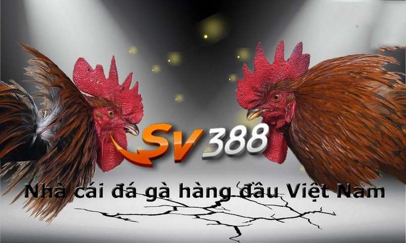 Jun 88 Club sở hữu một thư viện trò chơi ấn tượng - Jun 88