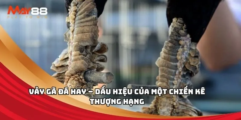 Khuyến mãi 88Clb, hoàn tiền không giới hạn mỗi tuần - 88Clb