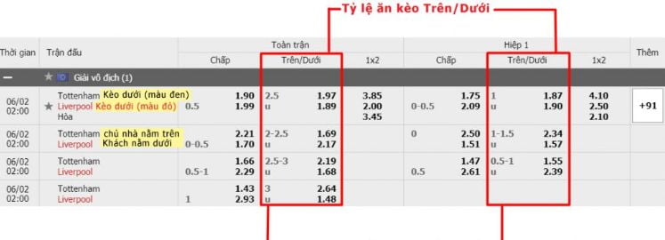 Những thương hiệu thể thao nào là đối tác của 66Vn Games? - 66Vn