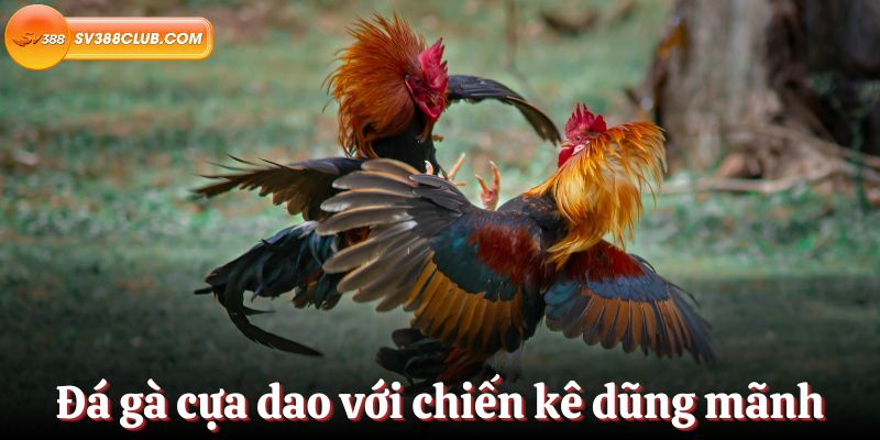Liên kết chính thức đến trang web game cấp Oxbet không bị chặn - Oxbet