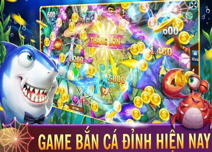 Giới thiệu về Bong8899, địa điểm thể thao hàng đầu châu Á - Bong8899