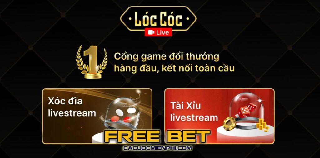 Các trang web giả mạo Xin88 đang xuất hiện với số lượng lớn - Xin88